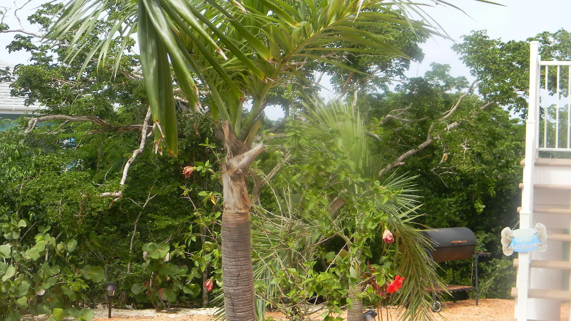 ***** Resort Harbor Breeze Villas Clarence Town Bahamas