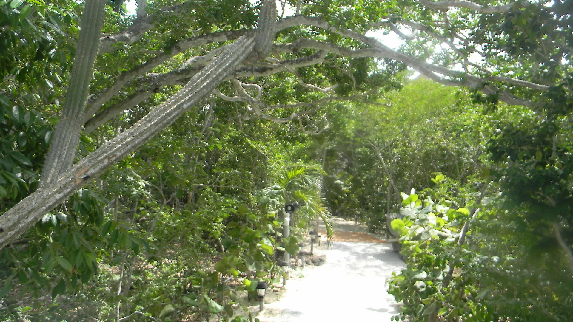 Harbor Breeze Villas Clarence Town