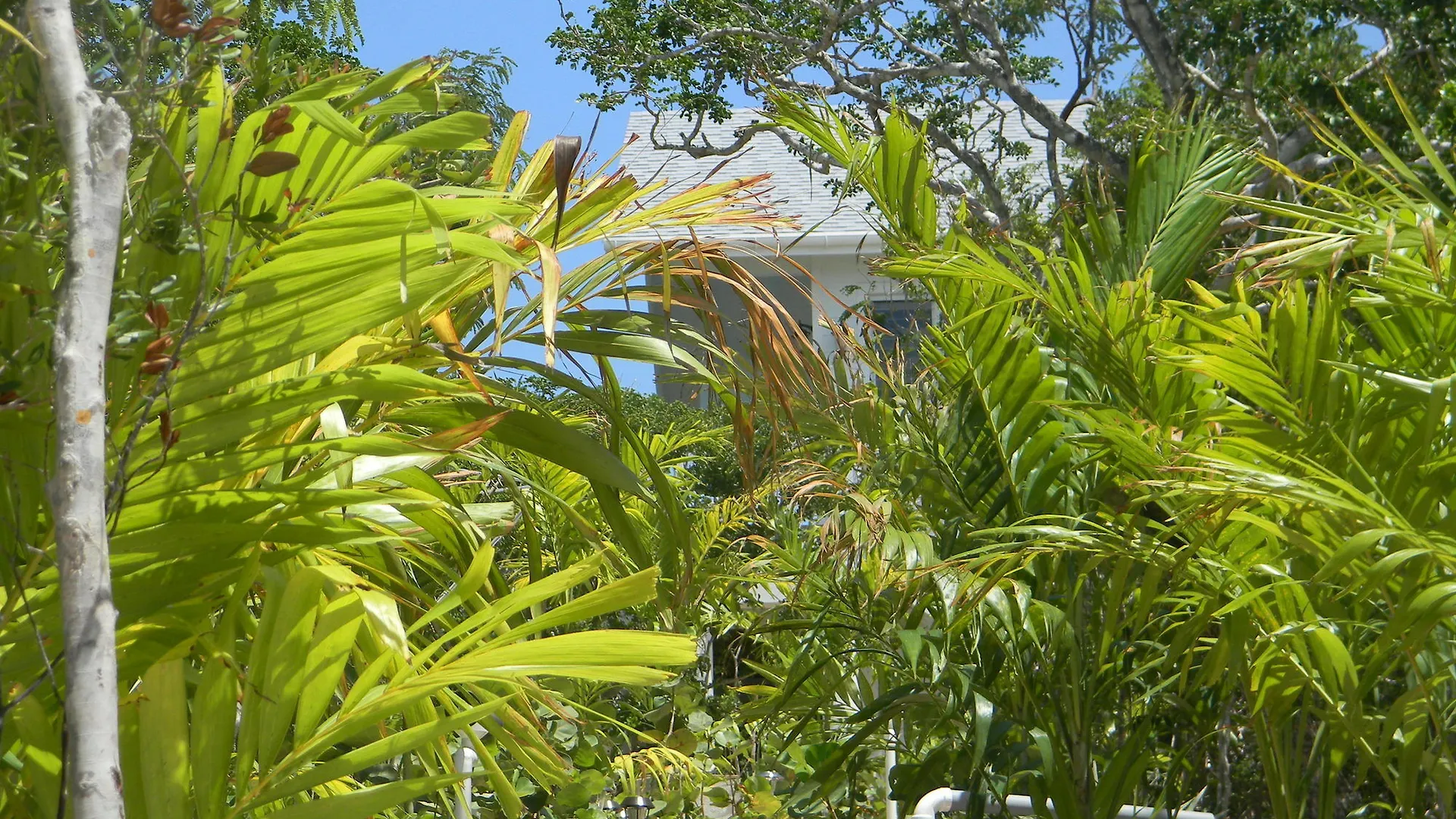 Harbor Breeze Villas Clarence Town